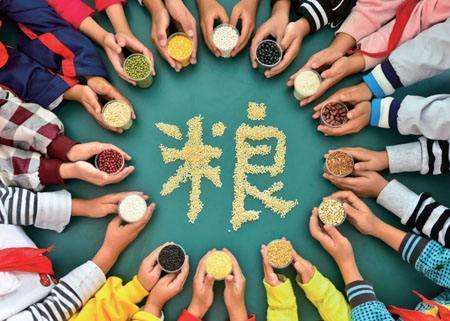 輸送帶廠家：第40個(gè)世界糧食日，食品安全很重要